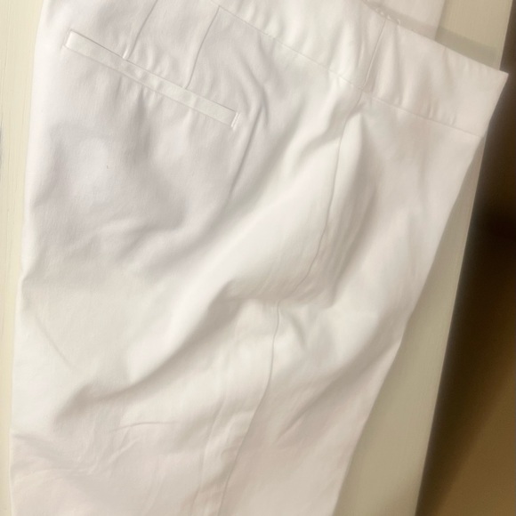 TALBOTS CHATHAM ANKLE PANTS size 10 - Picture 3 of 5